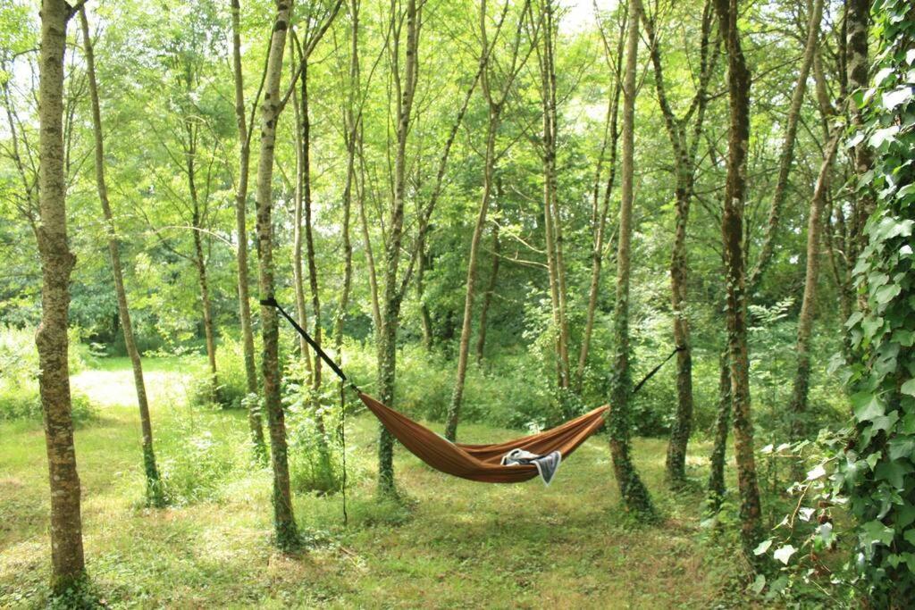 Vila La Maison Des Eyres - Gite Le Fadet Pey Exteriér fotografie